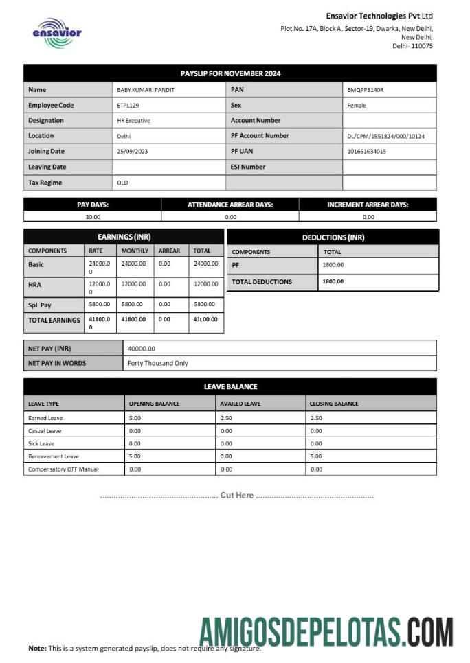 Realista Modelo de recibo de pagamento da Ensavior Technologies em formatos Word e PDF.pdf, 1